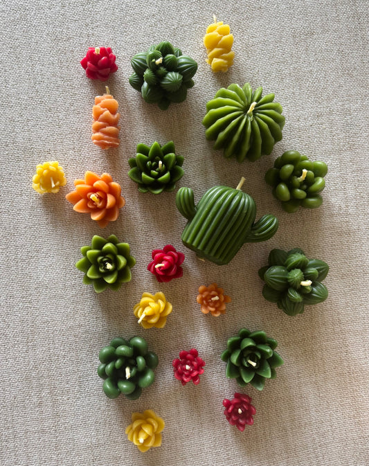 Succulent Beeswax Candle Box