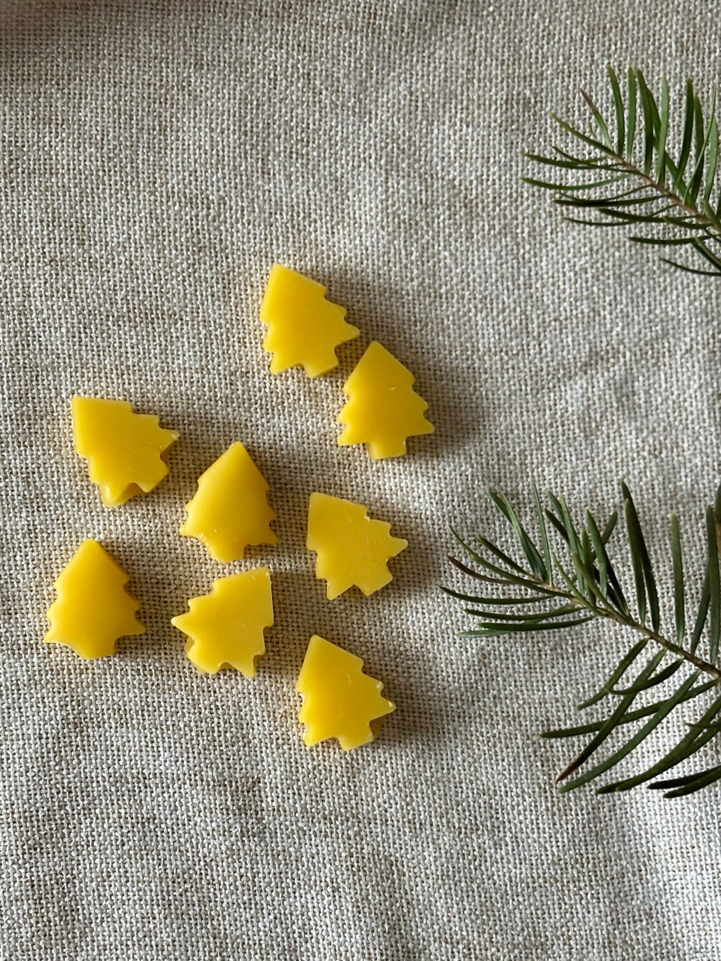 Christmas Beeswax Wax Melts
