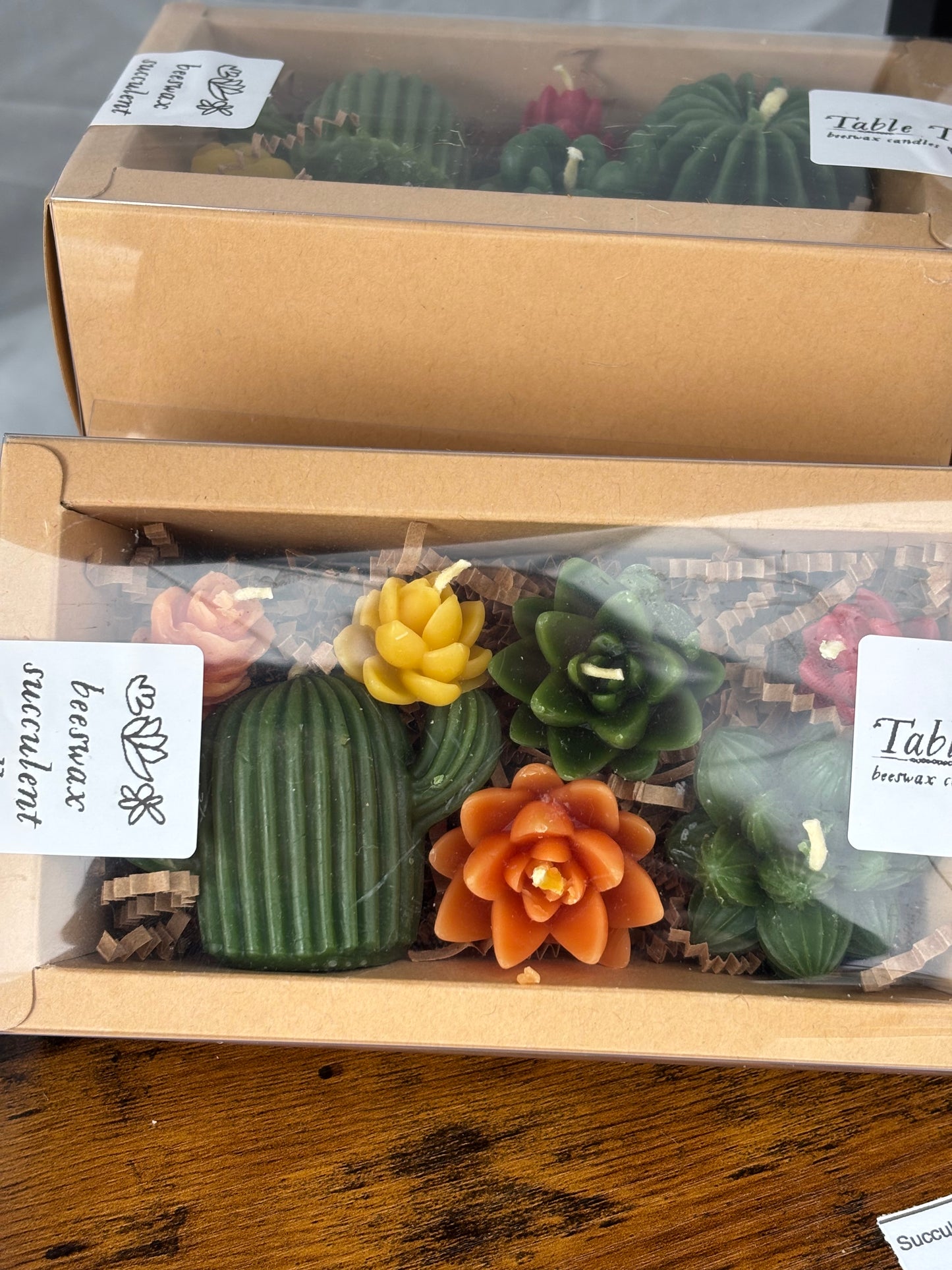 Succulent Beeswax Candle Box