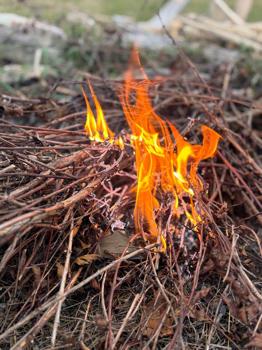 Cedar & Beeswax Campfire Starter