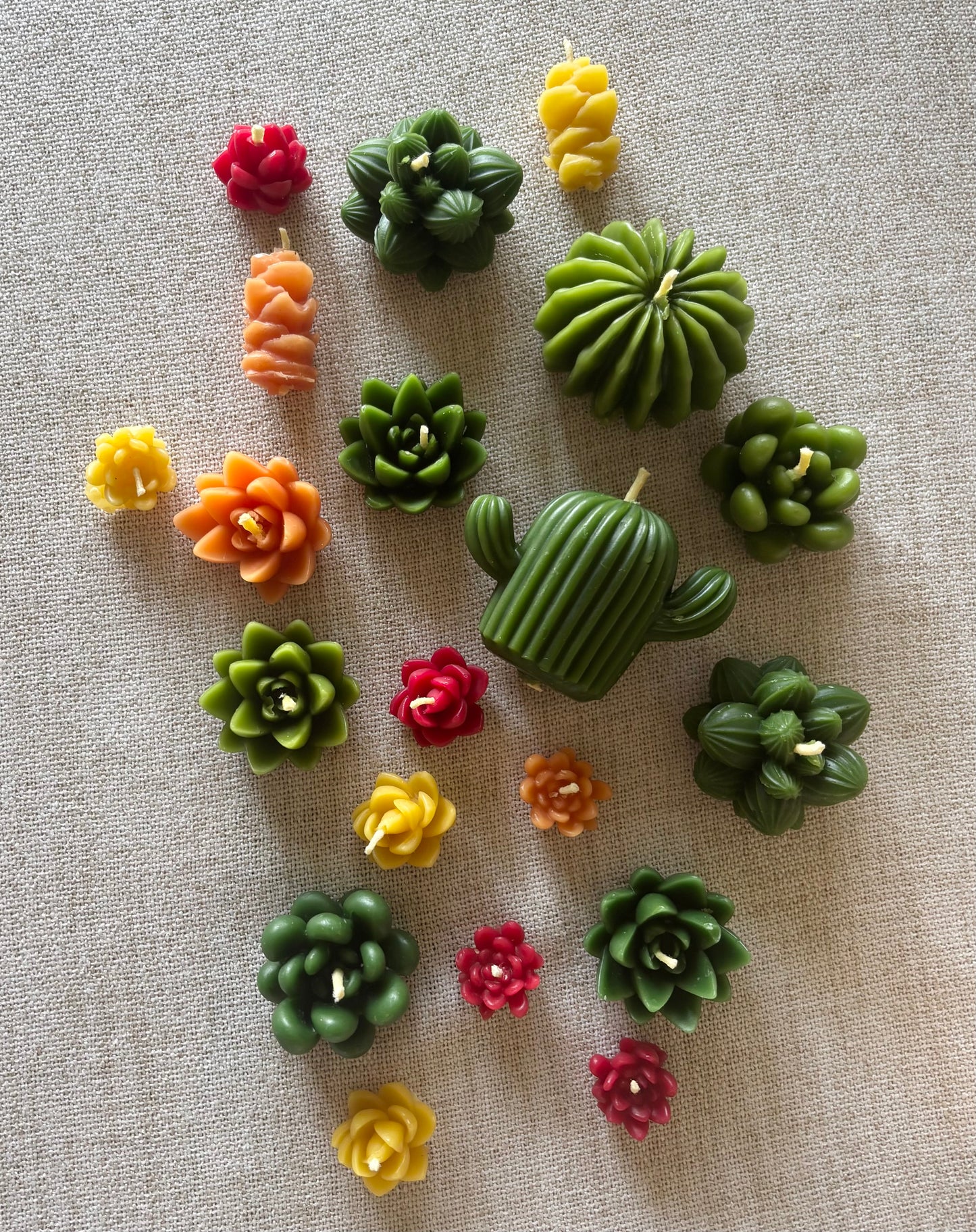 Succulent Beeswax Candle Box