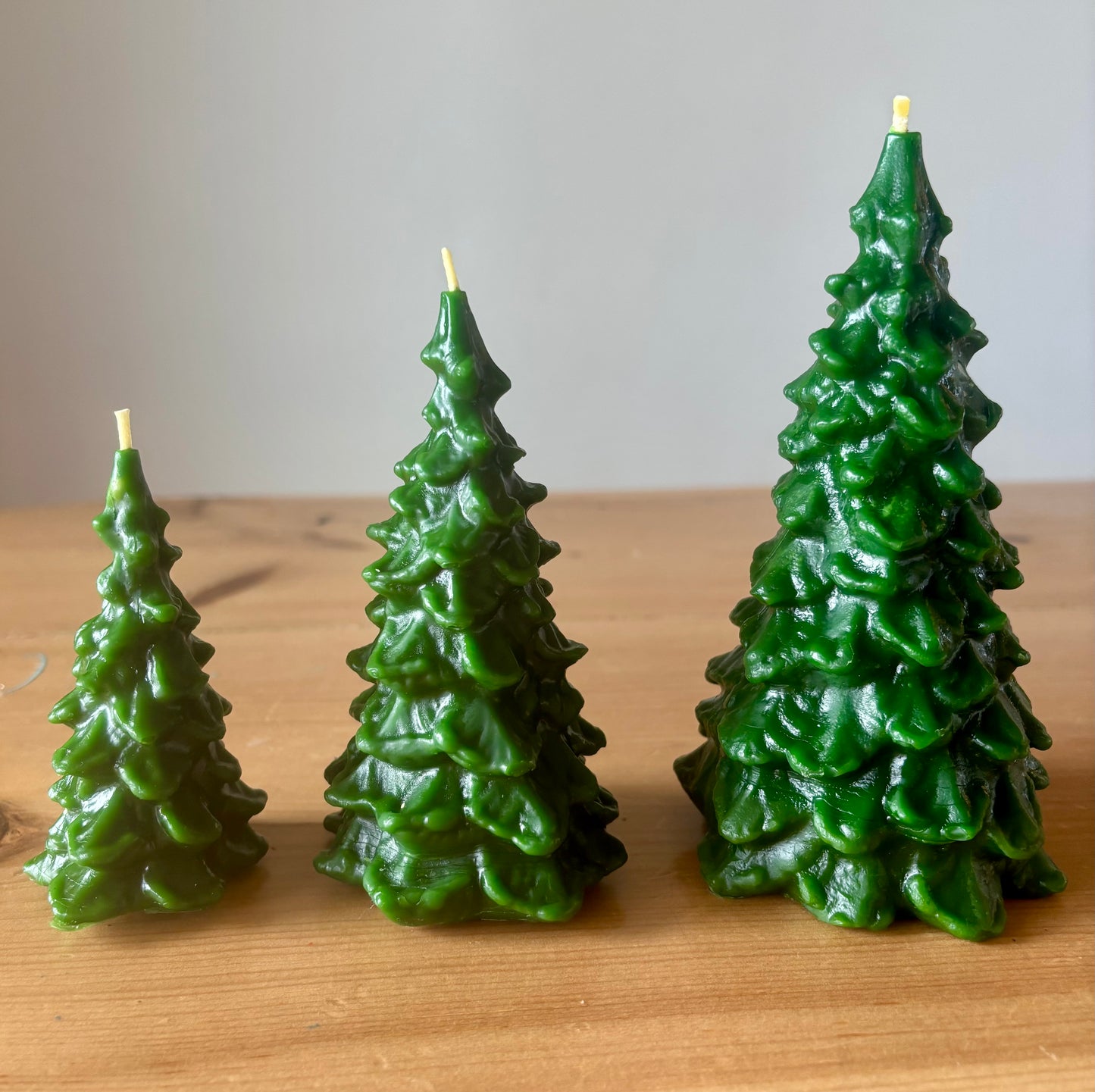 Pine Tree Set of 3