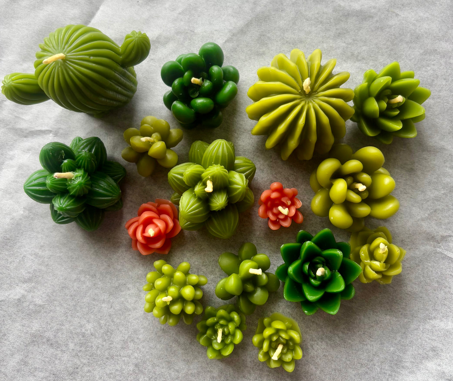 Succulent Beeswax Candle Box