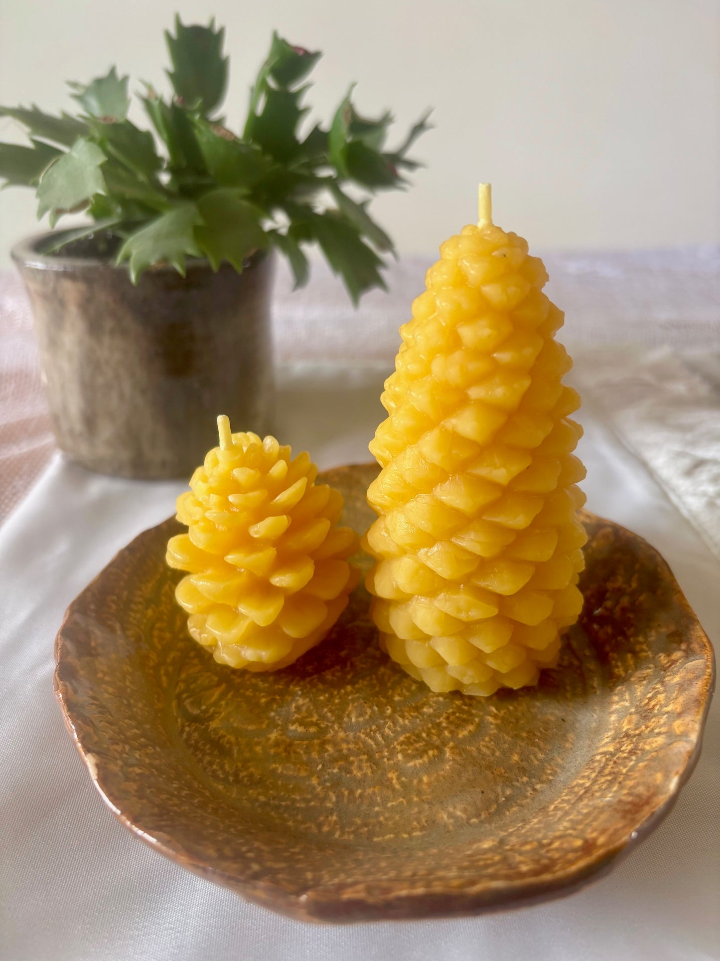 Woodland Pine Cone Set