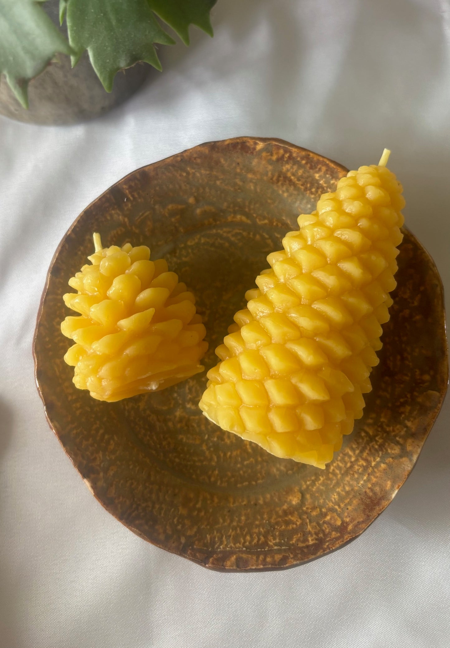 Woodland Pine Cone Set