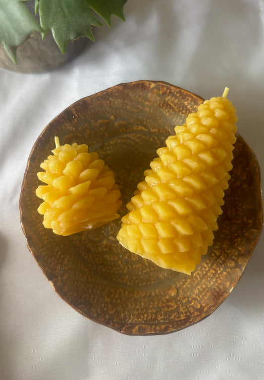 Woodland Pine Cone Set